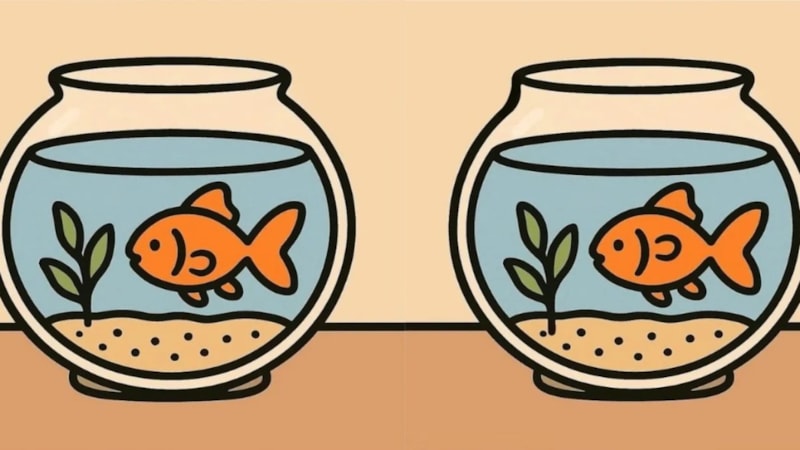 Einstein IQ'nuz mu var? Fanustaki 3 farkı 7 saniyede bulun