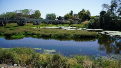Edirne'de kuraklık nedeniyle su akışının durduğu nehir ot öbekleriyle kaplandı