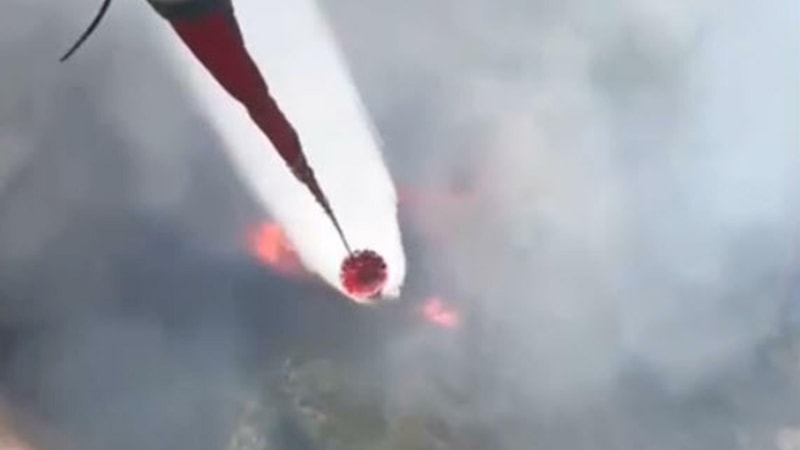 Balıkesir'de orman yangını çıktı