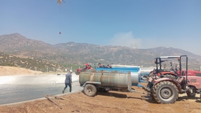 Aydın'da yangın paniği: Vatandaşlar seferber oldu