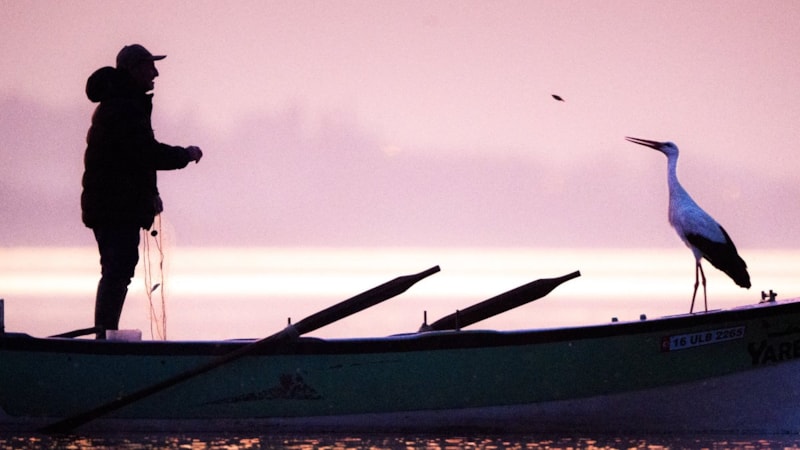 Yaren leylek Eylül'ü beklemeden gitti