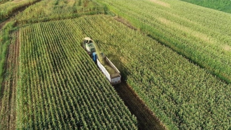 Tarım ve Orman Bakanlığı'ndan yeni hamle: İşlenmeyen tarım arazileri kiraya çıkıyor