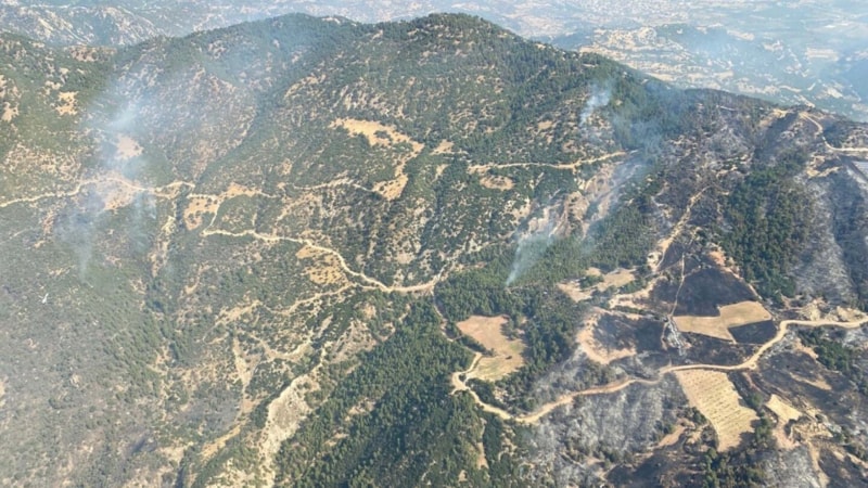 Aydın'daki orman yangını devam ediyor: 3'üncü güne girildi