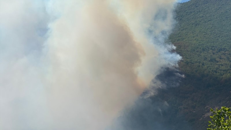 Bartın'da ormanlık alanda çıkan yangına müdahale ediliyor