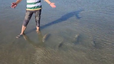 İznik Gölü sahilinde tarihi sütun başlıkları bulundu