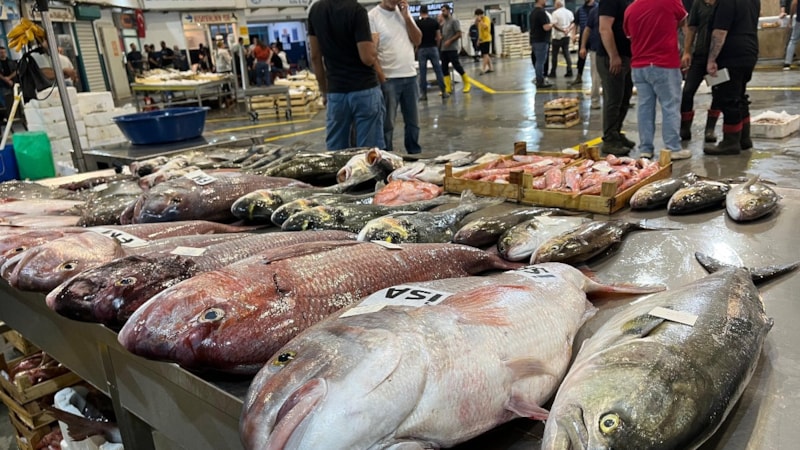 İzmir Balık Hali deniz ürünleriyle doldu