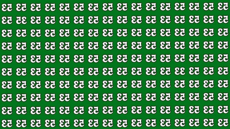 Zeka oyunu: Ters 53’lerin arasındaki ters 33’ü tespit edin!