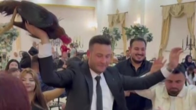 Amasya'da düğünde damada 250 bin TL değerinde Hint horozu hediye edildi