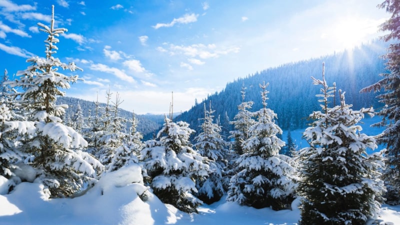 Kış ayları hangileridir? Türkiye'de kış ayları nelerdir?