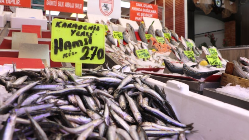 Samsun'da av sezonunun ilk balıkları tezgaha çıktı