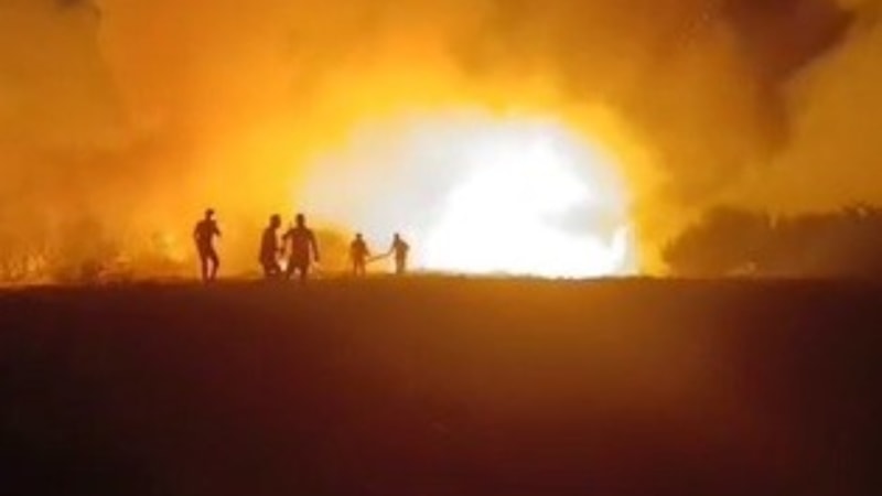 Hatay'da ağaçlık alanda yangın çıktı