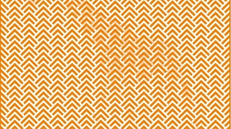 Geri sayım başladı: Zikzak illüzyona odaklanın, gizlenen hayvanı yakalayın...