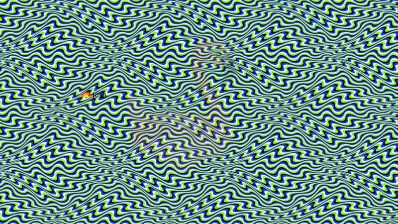 Zeka testi: Sadece yüksek IQ sahipleri bu gizli hayvanı fark ediyor