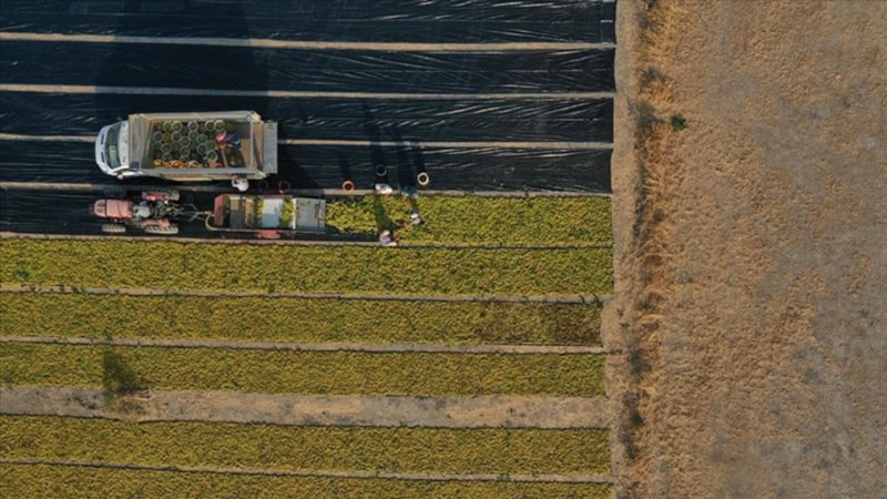 Arazisi olan kontrol etsin: Verilen süre doldu! Devlet harekete geçiyor...