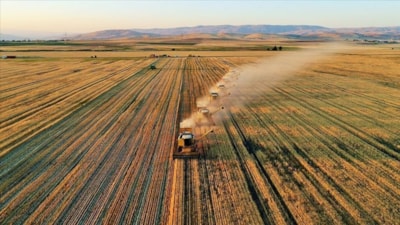 İşlenmeyen araziler kiralanacak: Çiftçiye yeni fırsat