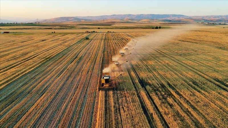 İşlenmeyen araziler kiralanacak: Çiftçiye yeni fırsat