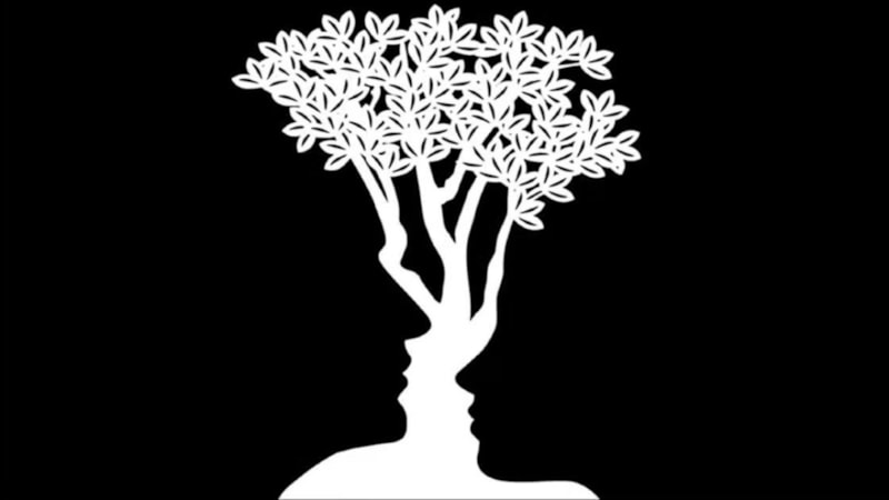 Ağaç mı, yüz mü… Resimde ilk gördüğünüz şey karakterinizi ele veriyor