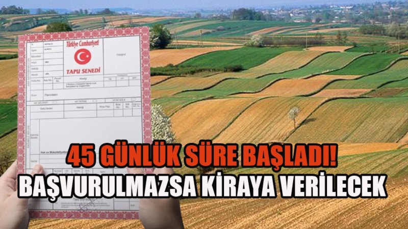 Tapu sahipleri dikkat: Son 45 gün! Başvuru yapılmazsa kiraya verilecek