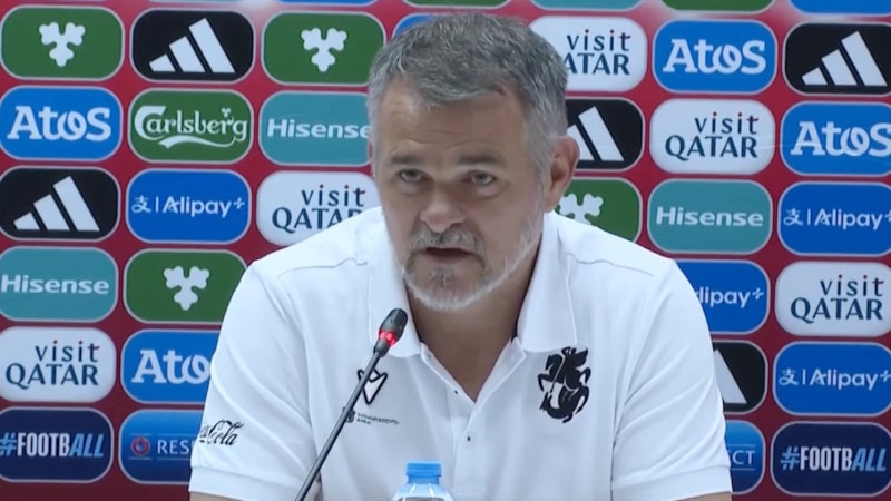 Gürcistan teknik direktöründen sürpriz 'Hamit Altıntop' cevabı