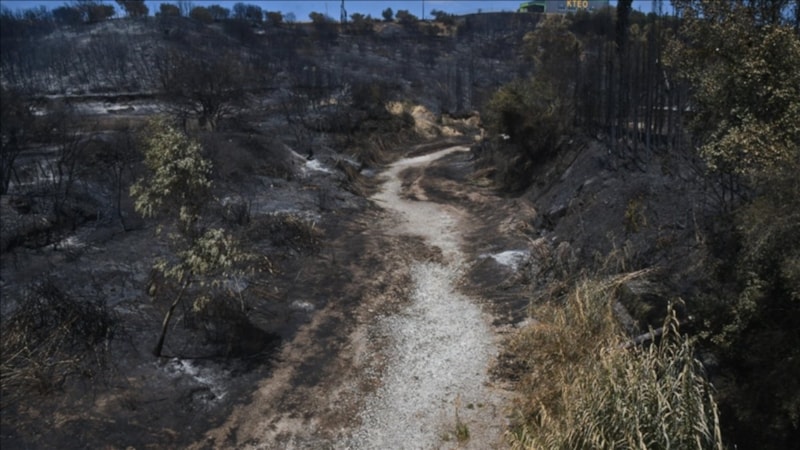 Yunanistan'daki yangınlarda bilanço: 470 bin dönümden fazla alan yandı