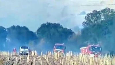 Tekirdağ'da ormana sıçrayan anız yangını 3 saatte kontrol altına alındı