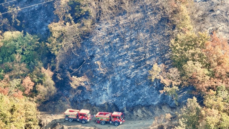 Düzce'de yangının bilançosu ortaya çıktı: Zarar gören alanlar havadan görüntülendi