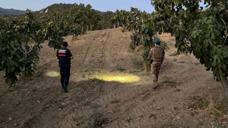Aydın’da incir hırsızlığına karşı jandarma nöbette