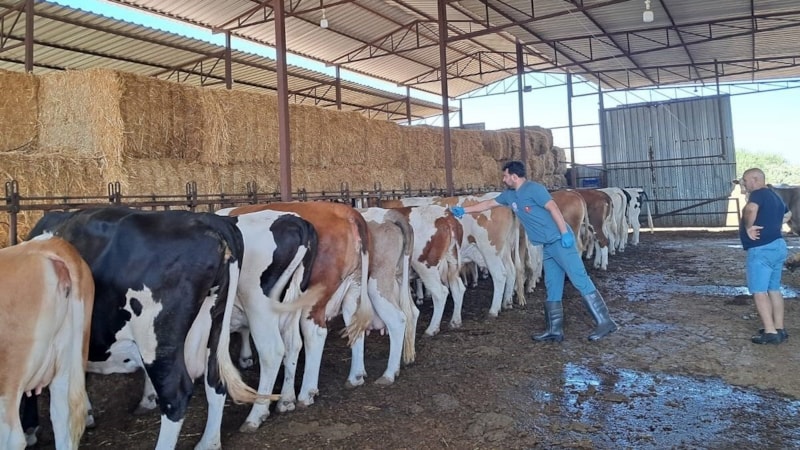 Nazilli'de 14 mahalleye karantina uygulaması