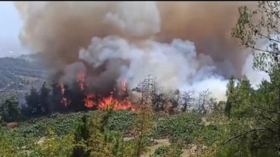 Bursa'daki orman yangını kontrol altına alındı
