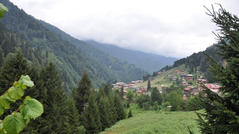 Gören hayran oluyor: Karadeniz yaylalarında sis manzarası izlenebilecek en güzel 8 yer