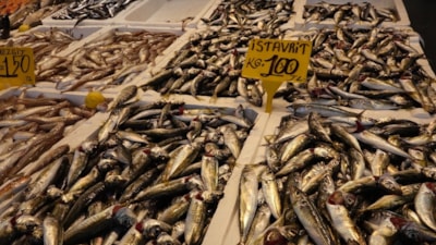 Av yasağının sona ermesiyle beraber Trabzon'da tezgahlar istavritle doldu