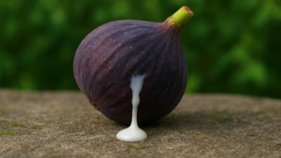 İncir sütünü 7 gün sürün, cildinizdeki farkı görün...