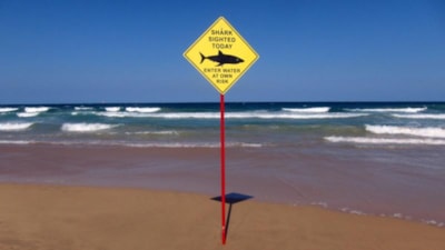 Avustralya'da 1 kişinin öldüğü köpek balığı saldırısı sonrası 2 plaj kapatıldı