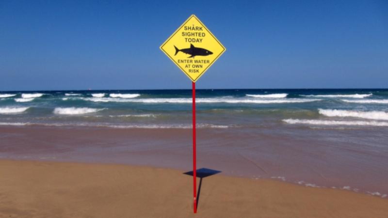 Avustralya'da 1 kişinin öldüğü köpek balığı saldırısı sonrası 2 plaj kapatıldı