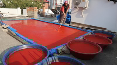 Adana'da damlar kırmızıyla renklendi: Güneşle pişen emek