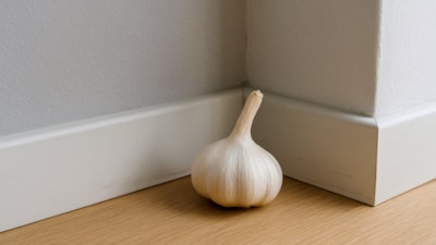 Evinizin bir köşesine sarımsak koymak bakın ne işe yarıyormuş