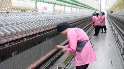 Her çalışan kadın için işverene 157 bin 500 liraya kadar destek