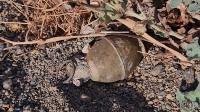 İznik Gölü kıyısında el bombası bulundu