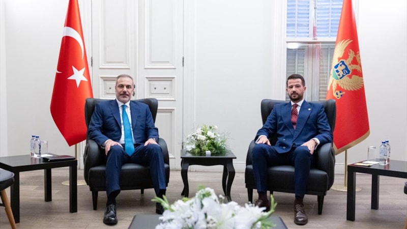 Hakan Fidan, Karadağ Cumhurbaşkanı Milatovic ile görüştü