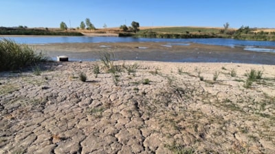 Tekirdağ'da gölette sular çekildi: Çatlaklar oluşmaya başladı