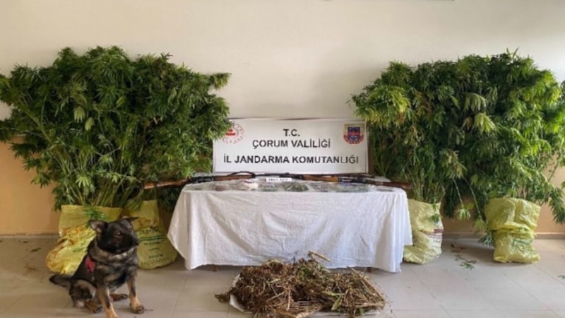 Çorum’da jandarmadan uyuşturucu tacirlerine operasyonda 2 şüpheli tutuklandı