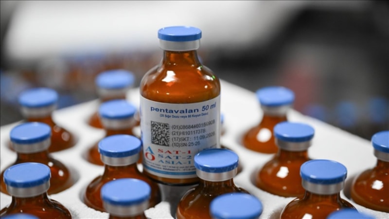 Şap hastalığına karşı 15 milyon doz aşı sahaya sevk edilecek