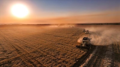 Çiftçilere 274,8 milyon liralık destekleme ödemesi yapıldı