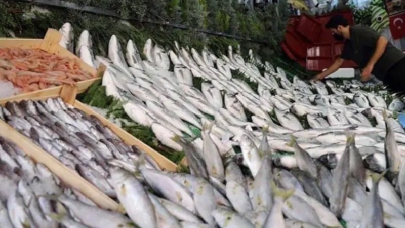 Sonbaharda tüketilmesi gereken balıklar: Eylül, Ekim, Kasım…