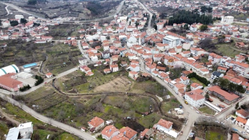 Bursa'da yavru ayı alarmı