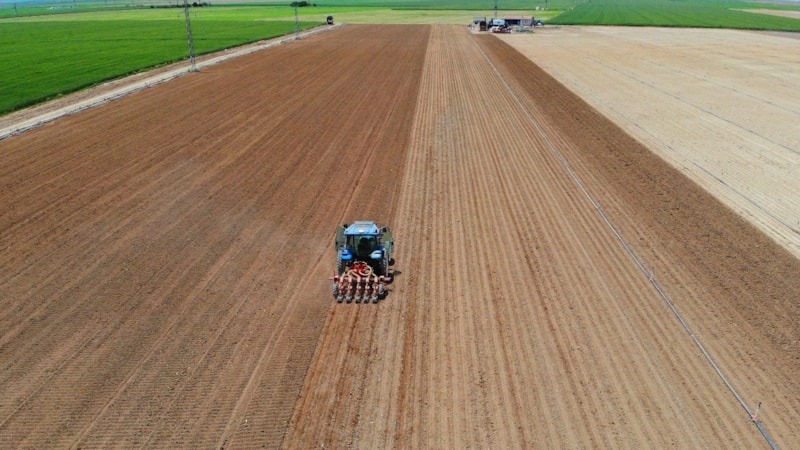 Konya'da çiftçiler uyarıldı: Su tasarruflu ürün ekin