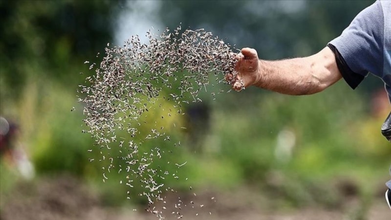 Türkiye'nin tohumculuk sektöründe dünyada ilk 5'te yer alma hedefi