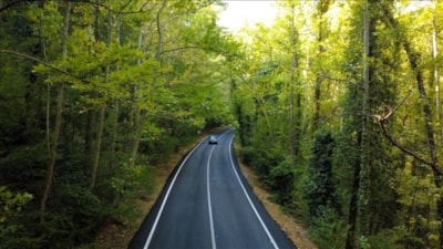 Doğanın içinde gizli yol: Safranbolu'nun ağaç tüneli