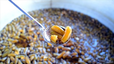 Önyargılı olmayın: Türk mutfağının sıra dışı reçel çeşitleri