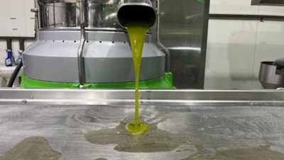 Marmara Bölgesi'nin ilk zeytinyağı sıkımı gerçekleşti